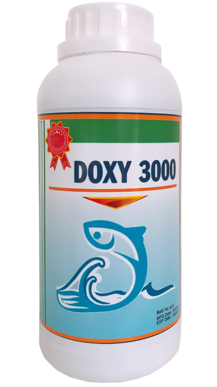 DOXY 3000