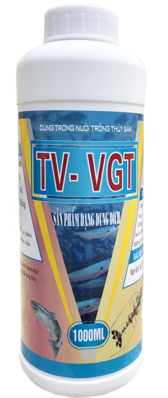 TV-VGT (Viêm gan thận)