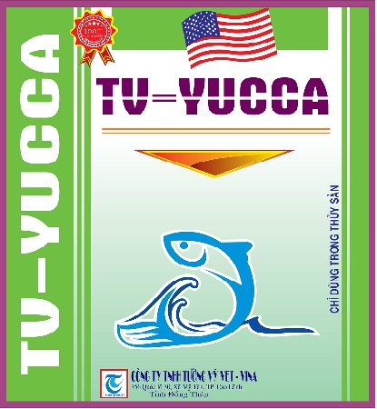 TV-YUCCA